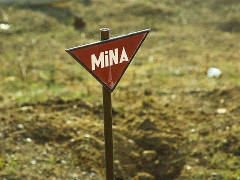 ANAMA-nın əməkdaşı Xocalıda minaya düşdü