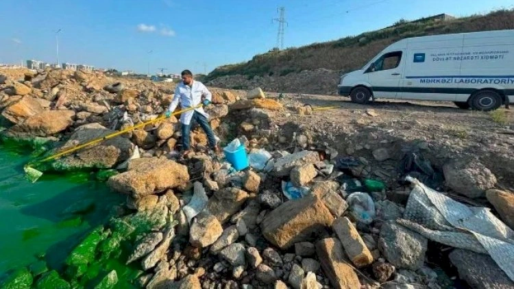 Böyükşor gölü niyə yaşıla bürünüb? - Rəsmi açıqlama