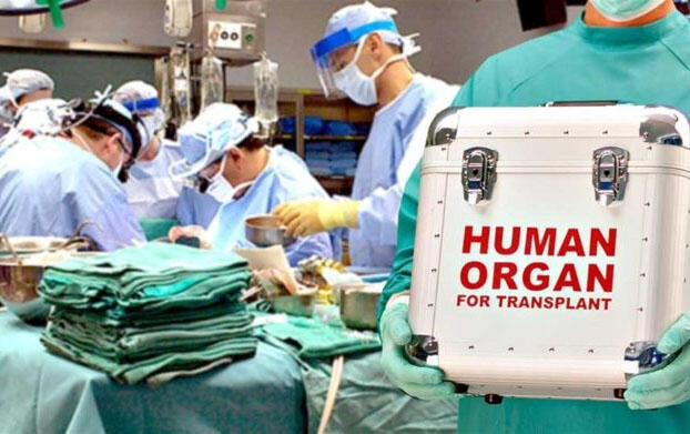 Orqan transplantasiya Azərbaycanda necə həyata keçirilir?