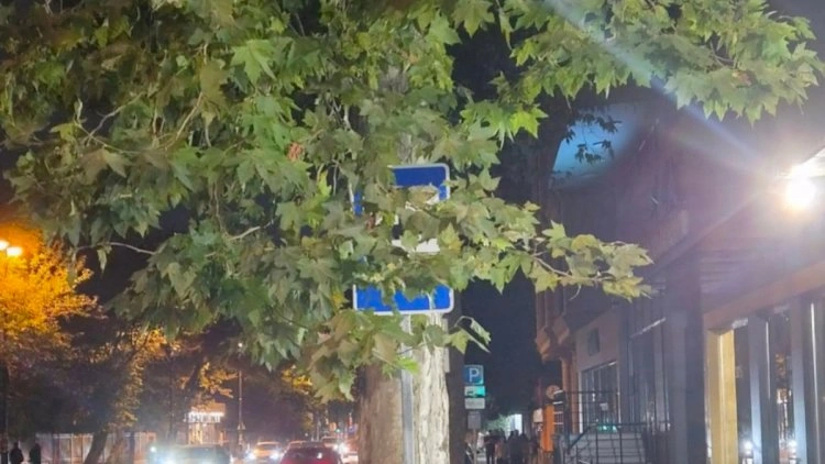 “Ağaclar nəqliyyat nişanlarını görməyə qoymur” - AÇIQAMA