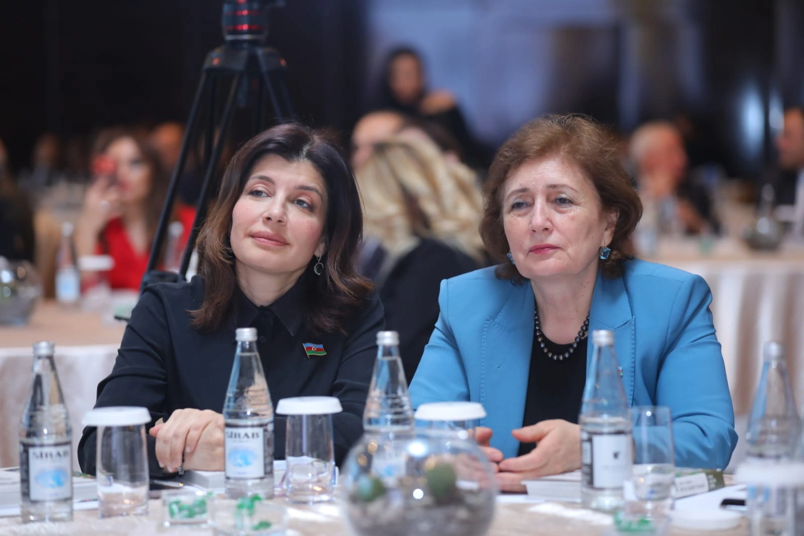 bp və TLM yeni layihə təqdim etdi: “Parlaq rənglərin işığında” - FOTOLAR