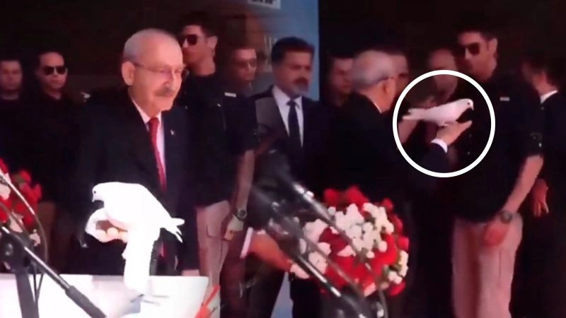 Daha göyərçinlər də siyasətçilərə inanmır -   VİDEO