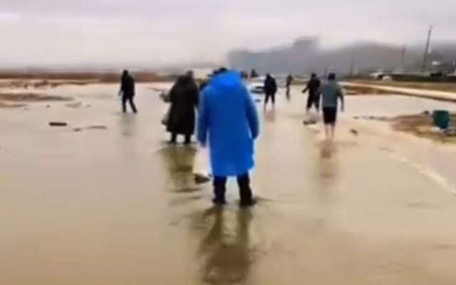 Sədərək gölü daşdı, balıqlar əllə tutuldu - VİDEO
