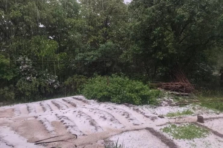 Sahil Tahirli yeni vəzifəyə təyin olundu