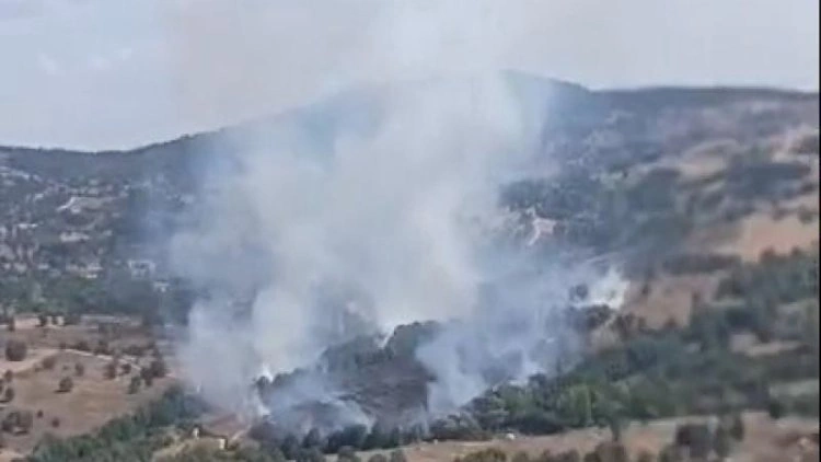 Bursada meşə yanğını başladı