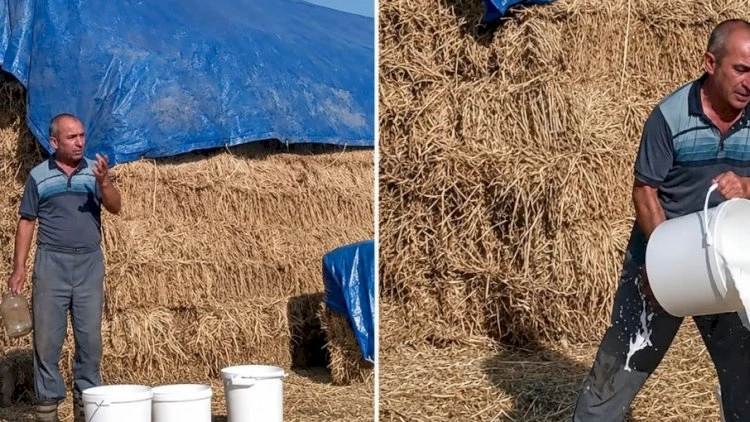 Yerli fermerdən 15 qəpiyə, xaricdən 2 dollara... – Süd istehsalçısı nə etməlidir?