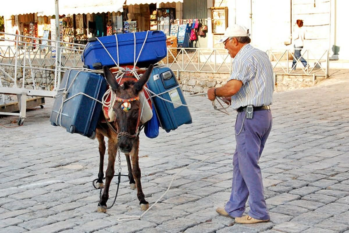 Avtomobillərin qadağan olduğu bu adada tək nəqliyyat vasitəsi eşşəklərdir - FOTO