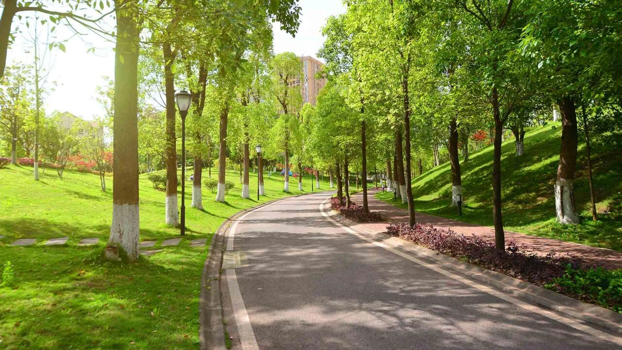 Azərbaycanda yeni park salınır - FOTO