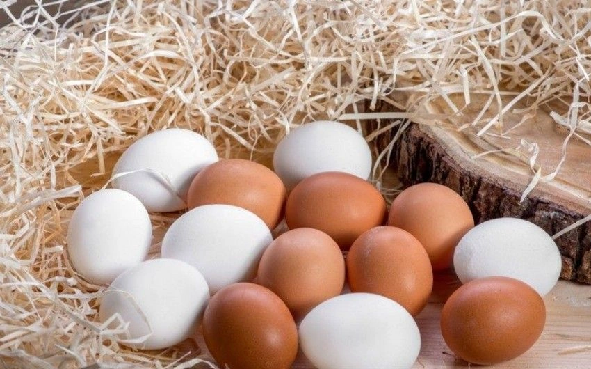 Marketlərdə saxta yumurta satılır? – AÇIQLAMA