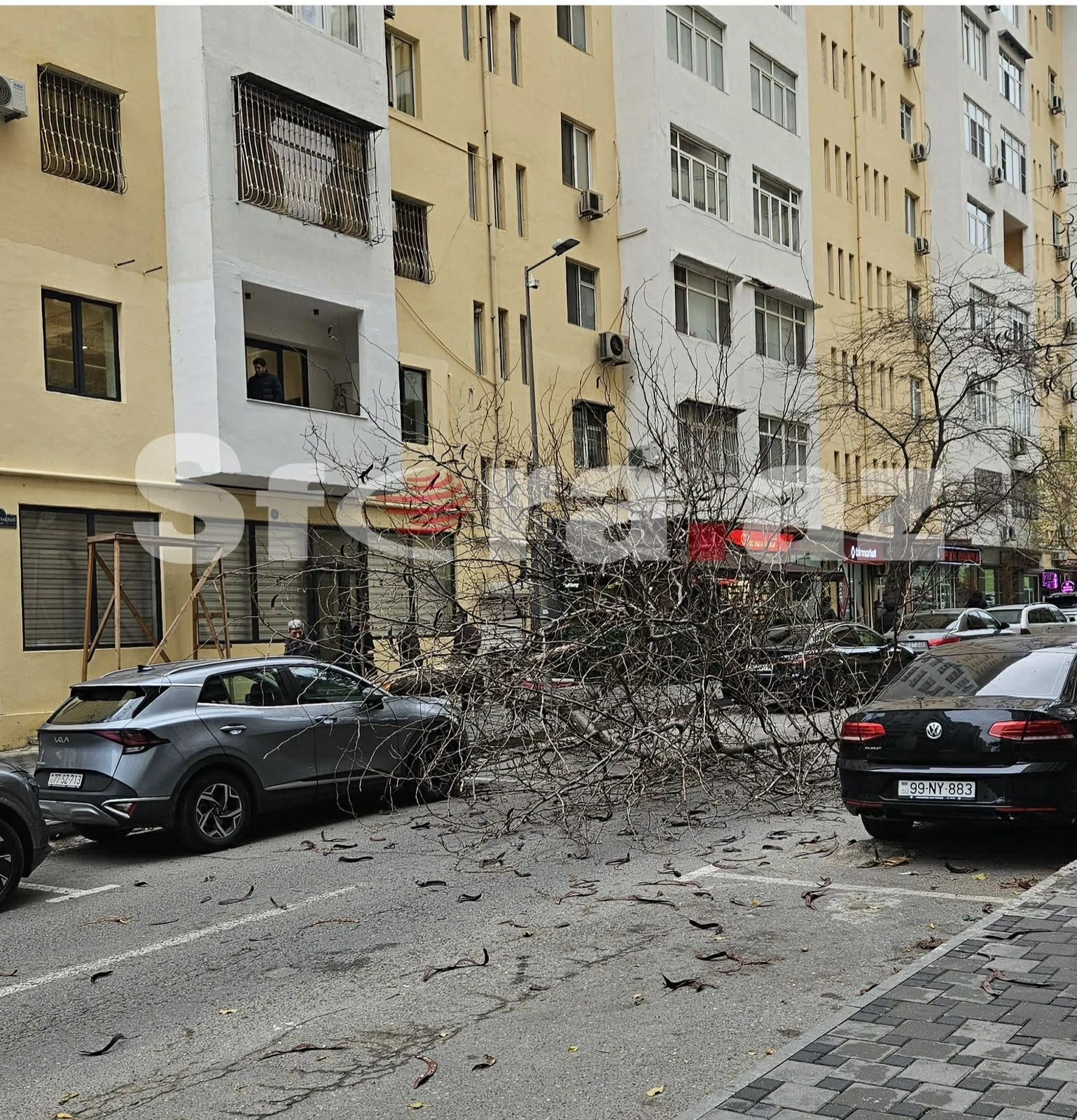 Bakıda ağac avtomobillərin üzərinə aşdı - FOTO