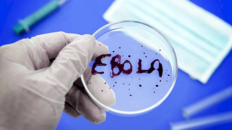 “Ebola virusu sürətlə yayılır” - ÜST