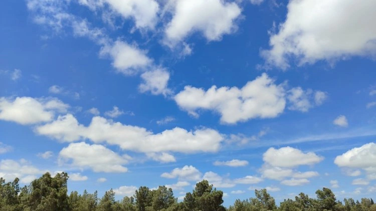 28 dərəcə isti olacaq -   SABAHIN HAVASI