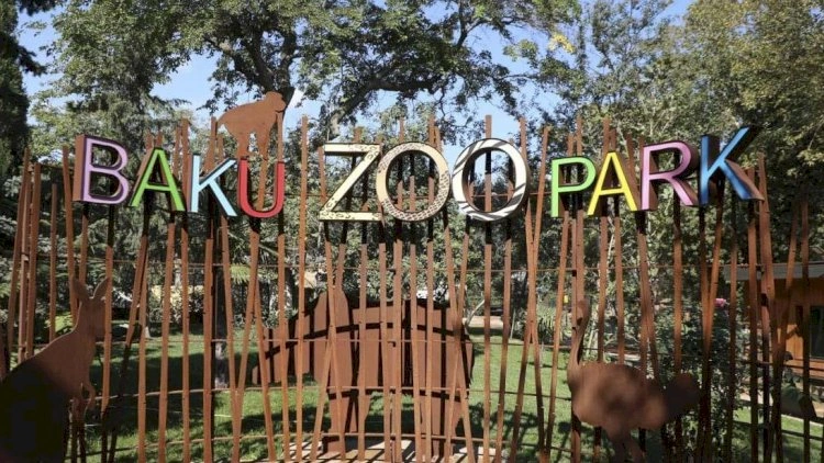 Bakı Zooparkı ləğv olunur – Qərar rəsmən təsdiqləndi