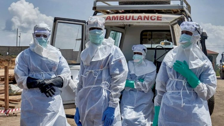 Avropada təhlükəli virus yayılır: Bu ölkələr risk altında