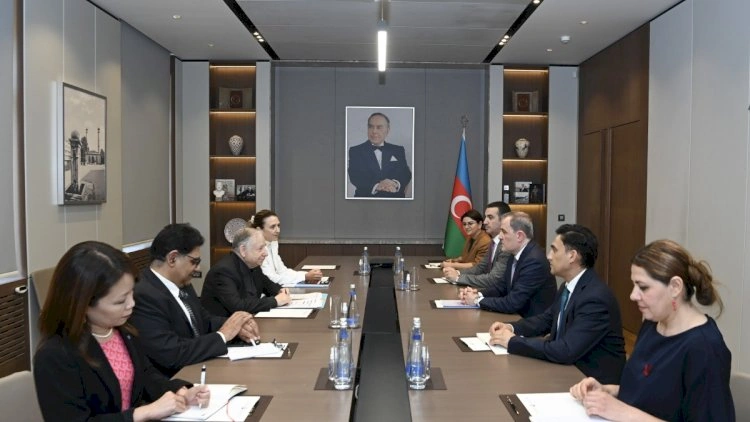 Ceyhun Bayramov BMT Baş katibinin xüsusi elçisi ilə görüşdü