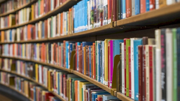 Kitabxana işçiləri ayağa qalxdı – Nazirliyə narazılıq