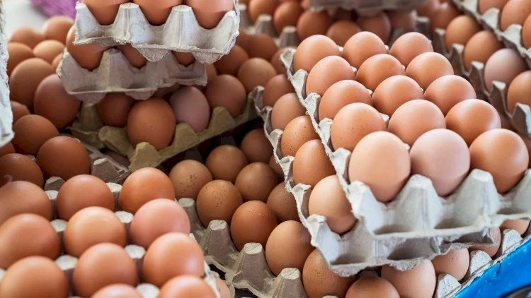 Marketdə satılan yumurtanın köhnə və ya təzə olmasını necə ayrıd edək? - RƏSMİ CAVAB