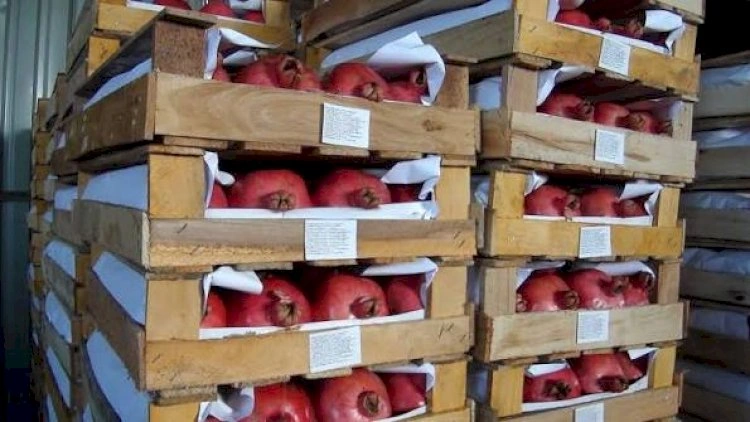 Azərbaycanın nar ixracı azalıb
