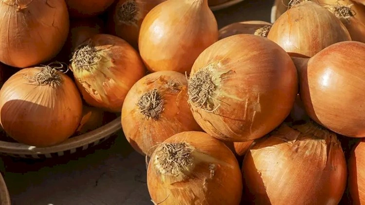 Sahədə soğan yığarkən öldü