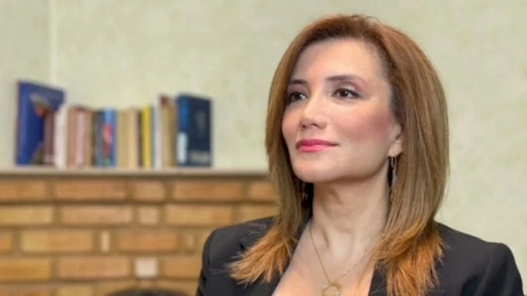 Gültəkin Hacıbəylinin Türkiyədən deportasiyasına qərar verildi -  Azərbaycana gətirilir