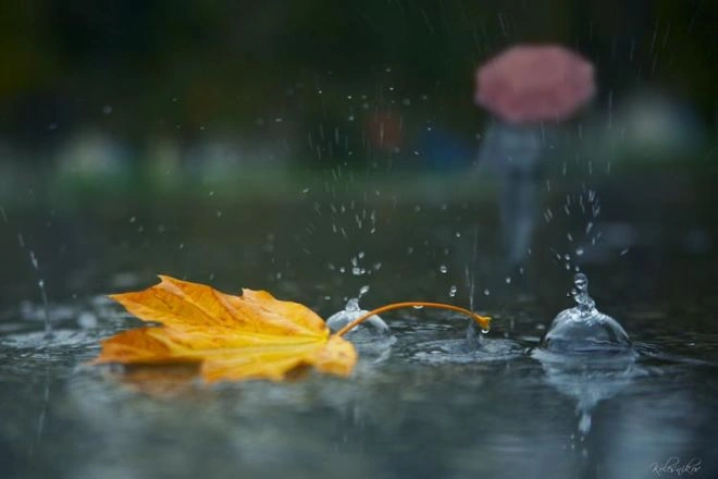 Yağıntılı hava nə vaxta kimi davam edəcək?